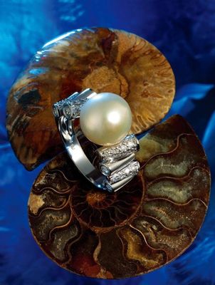 珠宝产品摄影与化妆品摄影的融合艺术